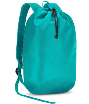 Sea Blue 15 Ltrs Casual Backpack