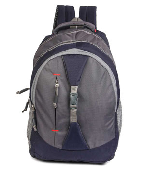 15.6 inch Expandable Laptop Backpack  (Blue)