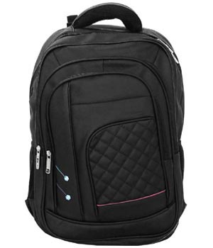 15.6 inch Inch Laptop Backpack (Grey, Black)