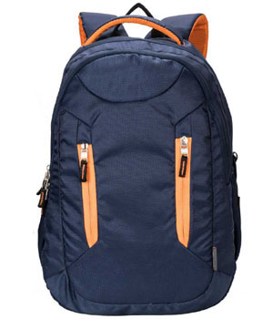 38 L Laptop Backpack